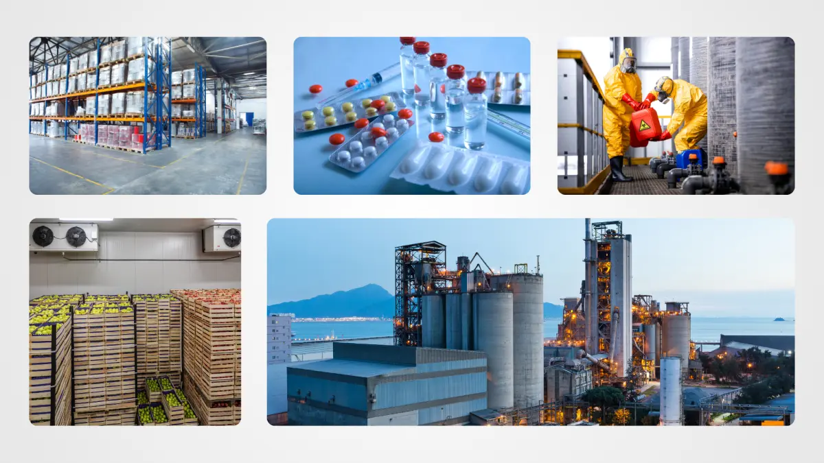 Unlocking ERP Potential: Top 10 Industries That  Get Benefits from ERP Systems