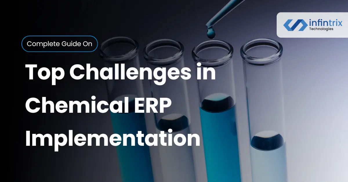 Top Chemical ERP Implementation Challenges 2025 - Expert Guide - Cover Image